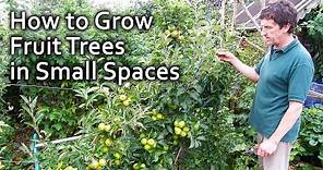 How to Grow Fruit Trees in Small Spaces