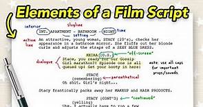 Basic Elements of a Film Script for BEGINNERS! (How To Format, Read and Write a Screenplay!)