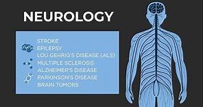 What is Neurology? - American Academy of Neurology