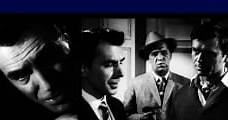 Crosstrap (1962) Online - Película Completa en Español / Castellano - FULLTV