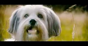 Pudsey The Dog: The Movie Teaser Trailer [Vertigo Films] [HD]