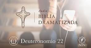 Audio Biblia Dramatizada | Deuteronomio 22
