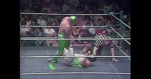 1981.05.09 - WWF All Star Wrestling (May 9, 1981)
