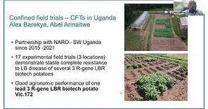 Webinar #29 - Deployment of late blight resistant biotech potatoes in Africa