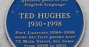 Analysis of the Poem 'Hawk Roosting' by Ted Hughes
