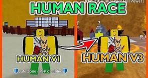 Human Race V1 to V3 Complete Guide 2023 - Blox Fruits [Beginner's Guide]