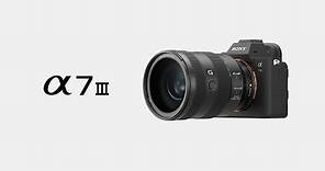 Product Feature | Alpha 7 III | Sony | α