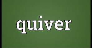 Quiver Meaning