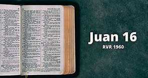 Juan 16 - Reina Valera 1960 (Biblia en audio)