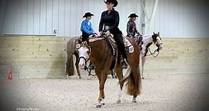 He’s Good As It Gets 2015 APHA gelding by CR Good Machine