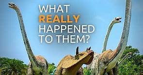 The Bible Reveals What REALLY Killed the Dinosaurs