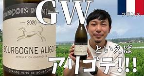 衝撃を受けた生産者が造るアリゴテがまた衝撃的！ ゆきおとワイン567「Francois de Nicolay Bourgogne Aligote 2020」