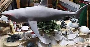 Shark 3D diorama in progress