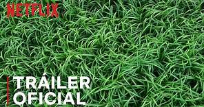 En la hierba alta | Tráiler oficial | Netflix