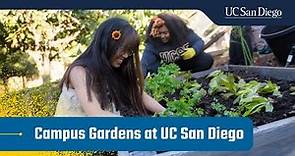 Campus Gardens at UC San Diego