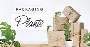 How To Package Plants For Shipping + Gifting 🌿 HOW TO SHIP PLANTS 🌱 Packing Plants For Shipping