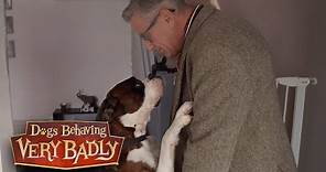 Dogs Behaving Very Badly - Series 2, Episode 7 | Full Episode