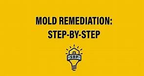 SBP: Step-by-Step Mold Remediation Guide