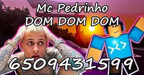 Mc Pedrinho Roblox Radio Codes/IDs