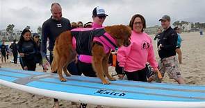 Surf Dog Ricochet's owner Judy Fridono died just the way she dreamed she would