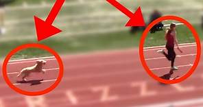 Dog Runs Down Leader And Wins Track Race!