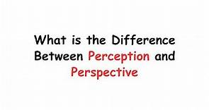 What is the Difference Between Perception and Perspective