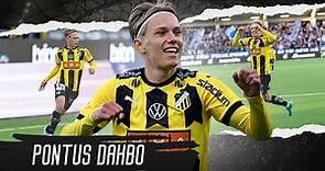 Pontus Dahbo ● 2023