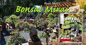 Ryan Neil's BONSAI MIRAI