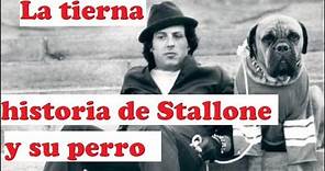 La tierna historia de Sylvester Stallone y su perro Butkus.