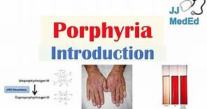 Introduction to Porphyria | Porphyria Cutanea Tarda vs. Acute Intermittent Porphyria