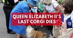 What Happens To Queen Elizabeth II's Beloved Dogs?
