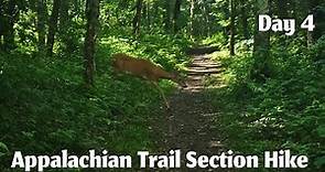 Appalachian Trail Section Hike | Shenandoah National Park | Big Meadows Lodge to Lewis Mountain