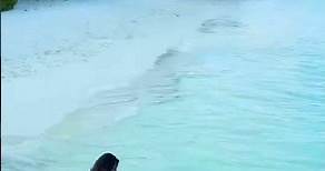 Maldives | Tour Destination | Island Resort & Spa | Honeymoon Packages | Water Sports