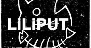 Kleenex / Liliput - Live Recordings, TV-Clips & Roadmovie