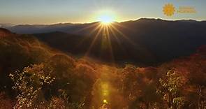 Nature: Great Smoky Mountains National Park, North Carolina