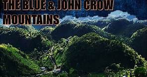 THE BLUE & JOHN CROW MOUNTAINS | JAMAICA W.I