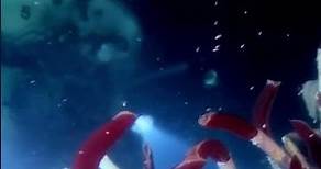 James Cameron en las Profundidades: Travesía con el Submarino Deepsea Challenger