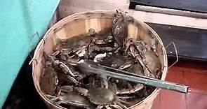 The 'Crabs In A Bucket Principle'