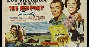 The Red Pony (1948) Peter Miles Louis Calhern Western Movie