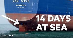 Stowaways Survive 14 Days At Sea Clinging To Ship Rudder | Insider News
