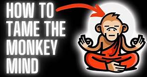 Stop Feeding the Monkey Mind (3 ways to quiten your mind)