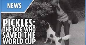 Pickles - The dog who saved the 1966 World Cup