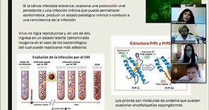 Virología, Introducción y partes de un virus