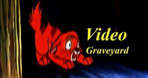 Video Graveyard