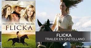 FLICKA (2006)