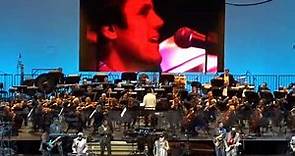 The Beach Boys concert - live - Hollywood Bowl - Los Angeles CA - July 2, 2023