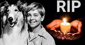 R.I.P. Its With Heavy Heart We Report About Tragic Death of actor Tommy Rettig from TV's 'Lassie'