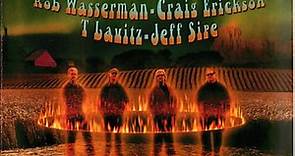 Cosmic Farm, Rob Wasserman, Craig Erickson, T. Lavitz, Jeff Sipe - Cosmic Farm