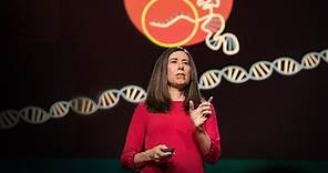 What you need to know about CRISPR | Ellen Jorgensen