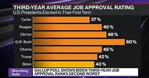Biden Approval Rating, Voter Concerns